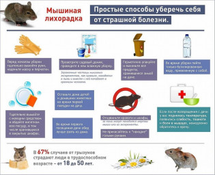 Осторожно &ndash; мышиная лихорадка!