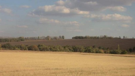 В Оренбургском районе чиновник незаконно отдал сыну землю в аренду