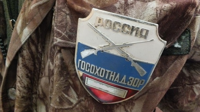 Браконьеры, истреблявшие косуль в Переволоцком районе, до сих пор не наказаны