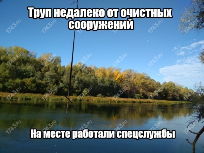 В Оренбурге, недалеко от очистных сооружений, найден труп