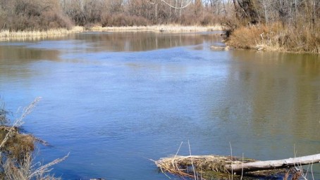 В Бузулуке вопрос постройки защитной дамбы не рассматривается