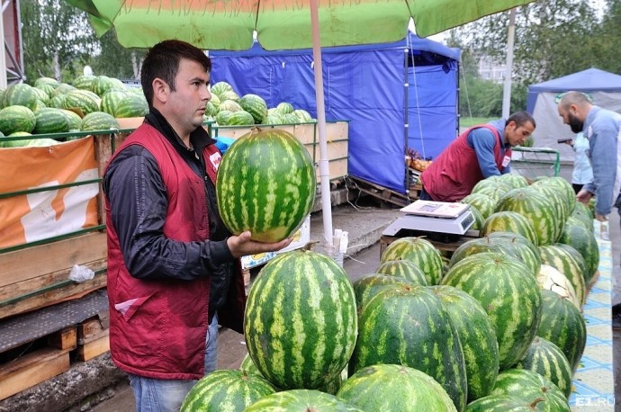 Где купить арбузы и дыни