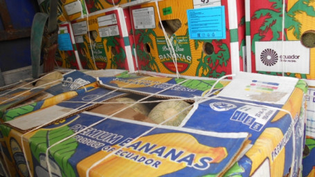 В Бузулук не доехало 167 тонн нелегальной продукции