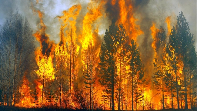 С начала года в Бузулуке произошло почти полсотни пожаров