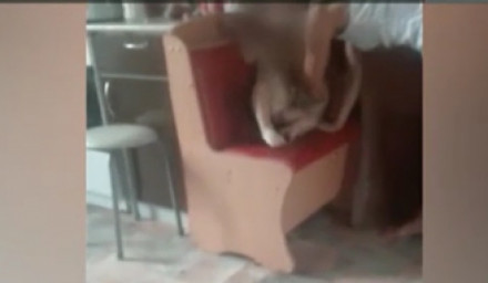 ​Мамаша из Оренбургского района издевалась над своими детьми