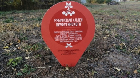 В Бузулуке проведена проверка по факту уничтожения рябин на аллее Шафутинского