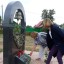 64-я годовщина ядерных испытаний 1