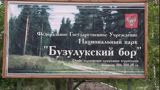Дня Бузулукского бора не будет?